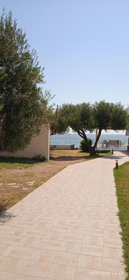 Lemonis House Aparthotel Nea Skioni Exterior photo